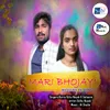 Mari Bhojayi Banjara Dj Song